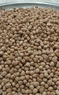 نخد دیزی و آشی خوش پخت