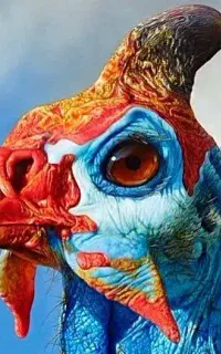 مرغ شاخدار ۳عدد در رودهن