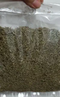 آویشن درجه یک