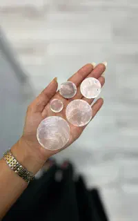 فروش صدف پولکی بصورت عمده