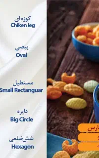 راننده و مامورپخش
