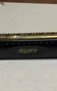 ساز دهنی برند East top T12