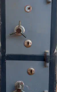 گاو صندوق