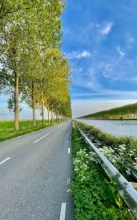 نیروی کار (خانم و آقا)