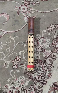 نیمبون تیزوبم