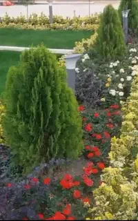 خدمات باغبانی و باغبان فروش گل کاشت درخت و نهال