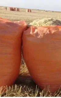 فروش چند باک کاه گندم مرغوب دیم