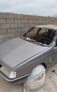 پژو405