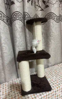 اسکرجر پت