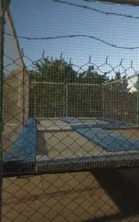 ترامپولین