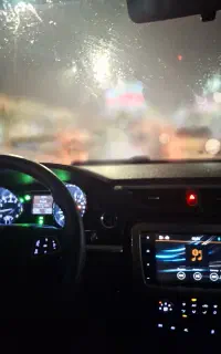 کی ام سی بالاستیگ جنگلی
