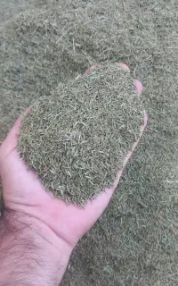سلام بلکینه ییلاق