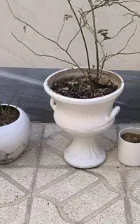 پنج عدد گلدان سفالی