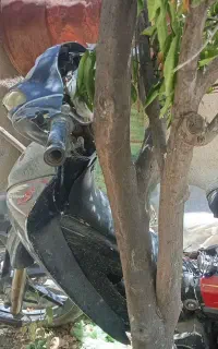 موتور ویو