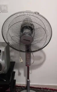 پلوپز آرام پز 12نفر