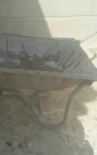 فرغون سالم