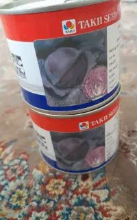 بذر کلم روبیبال