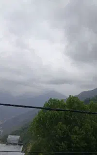 ویلای جنگلی