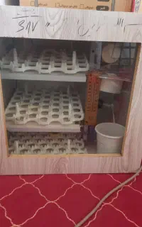 دستگاه جوجه کشی ۱۲۰ تایی