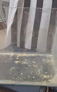 اکواریوم و تور