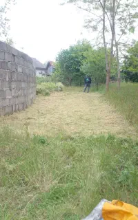 خدمات علف زنی .سم پاشی