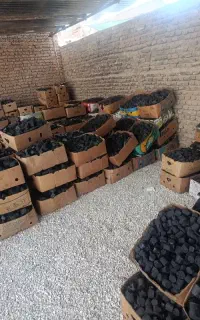 عمده ذغال و براز