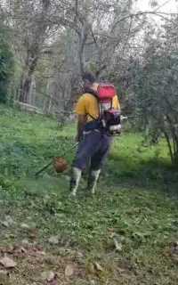 علف و چمن زنی
