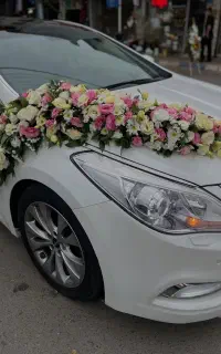گلفروشی گلگشت بیابانی