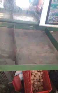پالت میوه