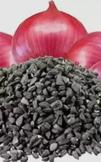 فروش بذر دست دوم فله.