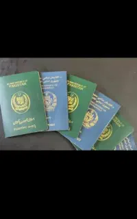 اخذ انواع ویزا برای ارتباع محترم قانونی