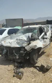 سمند تصادفی