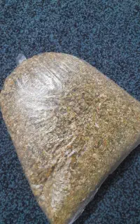 گل بابونه