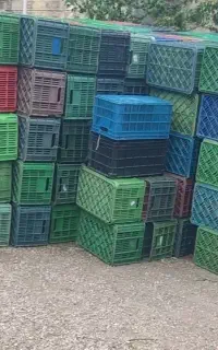 سبد ۲۰کیلوی با مواد در جه ۱
