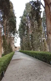 محوطه سازی باغ و حیاط