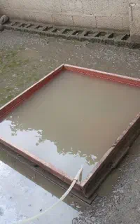 زمین برای نما