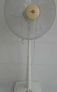 پنکه