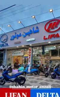 نیروی کار در نمایندگی شاهین موتور بندرانزلی