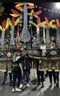 علامت 15تیغ