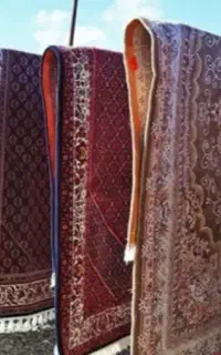 کارخانه قالیشویی و مبلشویی لاله(شیخ طوسی،پروین