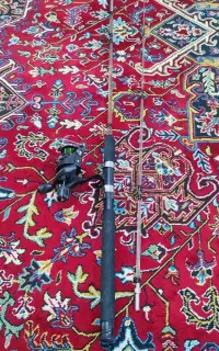 چوب دو تیکه کروکودیل2.10