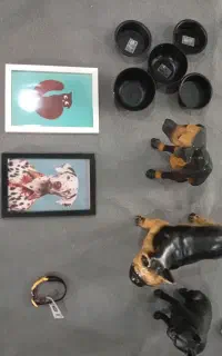 وسایل نگهداری و تزئینات سگ و گربه