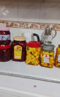 فروش ترشی و محصولات خانگی