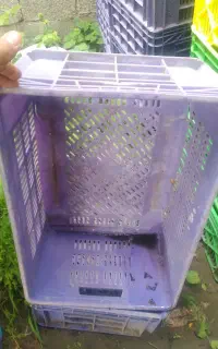 سبد مرغ کشتارگاهی