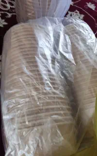 یکبار مصرف