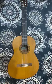 گیتار c40