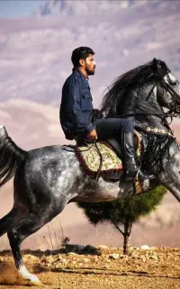 سیلمی کرد