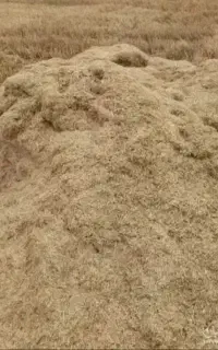کاه فروشی