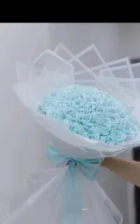 گل ربانی گل مخملی