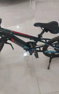 دوچرخه ترینکس ۲۰